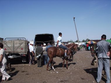 Rando2007_44.JPG