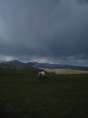 Rando2007_01.JPG