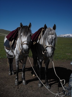Rando2007_01.JPG