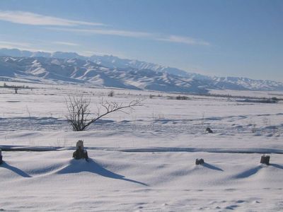 Hiver 2008-2009