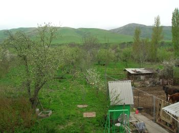 Ferme